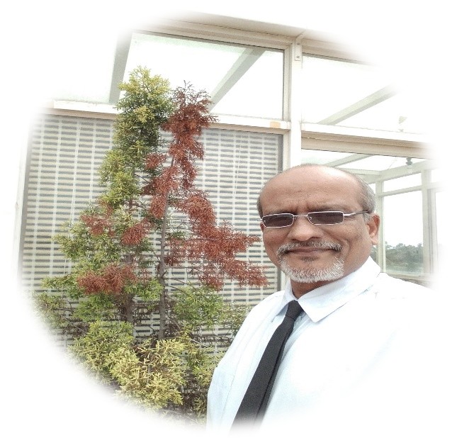 Anantha Somayaji CNS